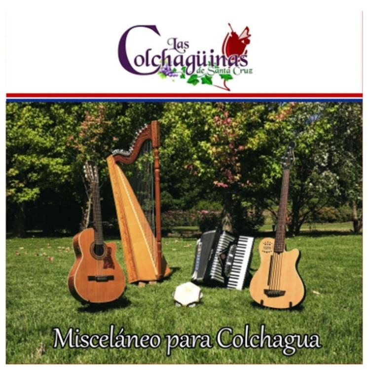 Las Colchagüinas's avatar image