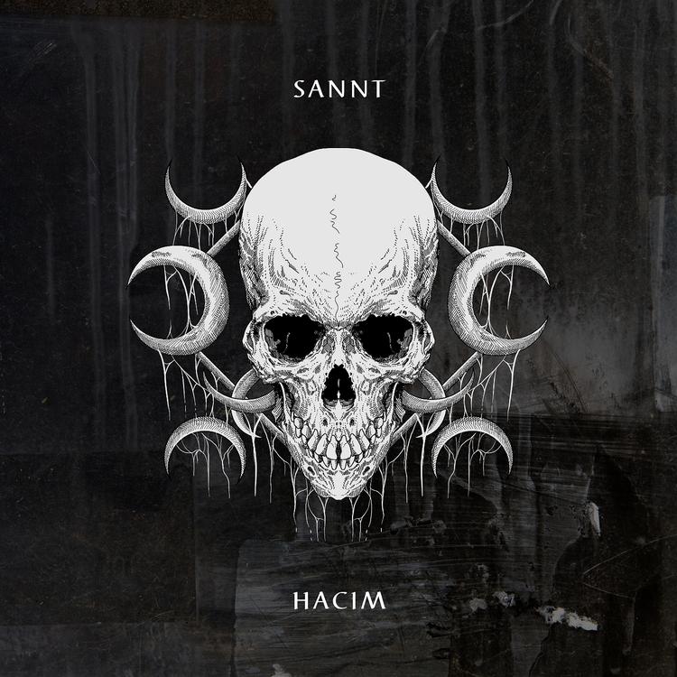 Sannt's avatar image