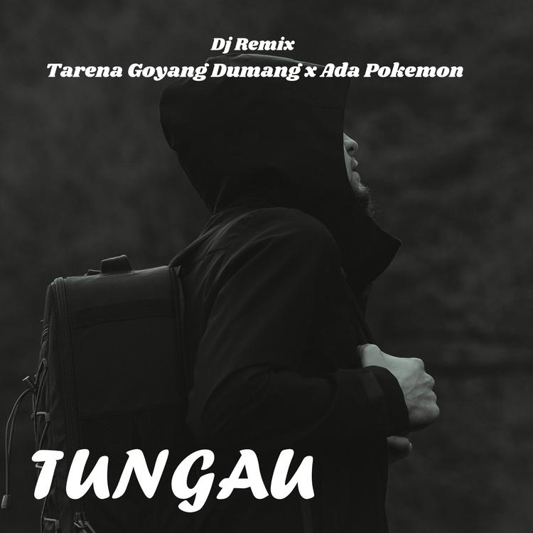 Tungau's avatar image