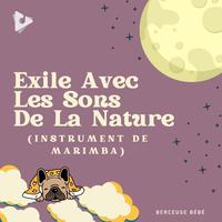 Dormir Bebé Dormir (Sleep Baby Sleep) Official Tiktok Music - Benjamin  Bonum Nocte-Berceuse bébé-Berceuse Pour Bébé - Listening To Music On Tiktok  Music