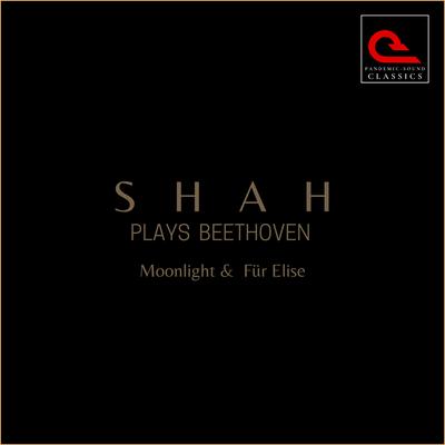 Bagatelle No. 25 in A Minor, "Für Elise", WoO 59 By Seid Muhammad Shah, Ludwig Van Beethoven's cover