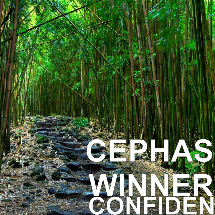 CEPHAS WINNER's avatar image