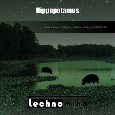 Hippopotamus By Technomind's cover