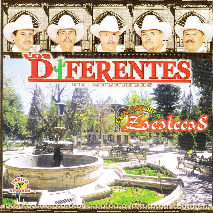 Los Diferentes de Zacatecas's avatar image