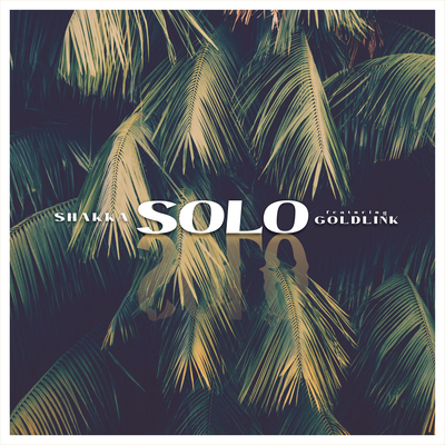 Solo's cover