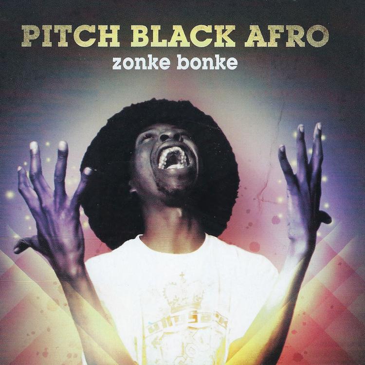 Pitch Black Afro's avatar image