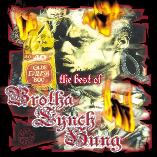 The Best of Brotha Lynch Hung Official Tiktok Music | album