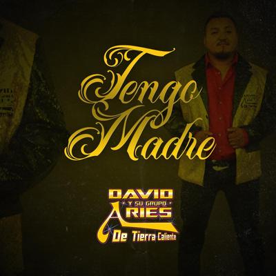 David y Su Grupo Aries de Tierra Caliente's cover