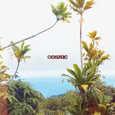 Cosmic's cover