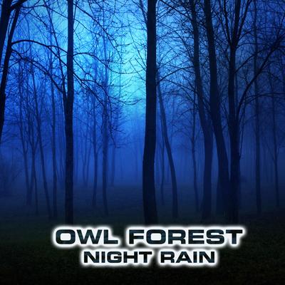 Owl Forest Sounds (feat. Atmospheres Sounds, Calming Nature Sound FX, Forest Nature Sounds, Rain Atmosphere Sounds, Forest Atmosphere Sounds & Nature Sounds 3D)'s cover