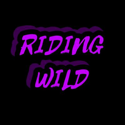 RIDING WILD By George Micheal Gilto's cover