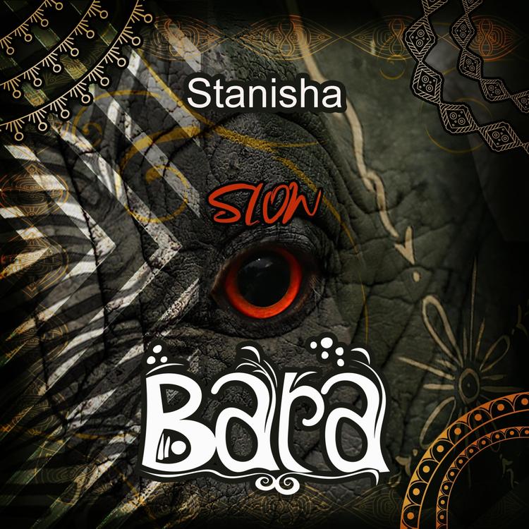 Stanisha's avatar image