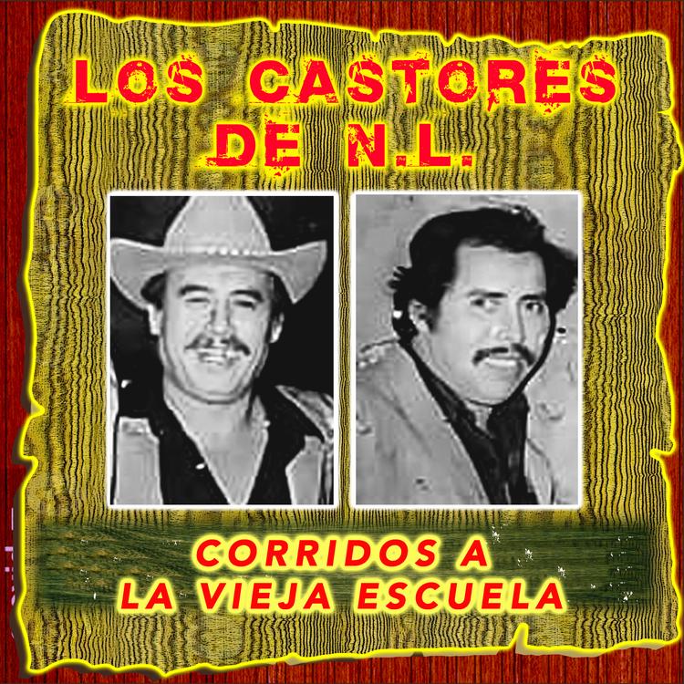 Los Castores de N.L.'s avatar image