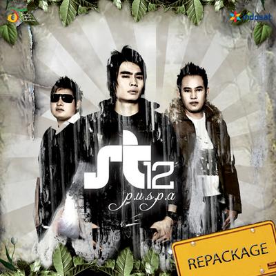 Biarkan Jatuh Cinta By ST12's cover