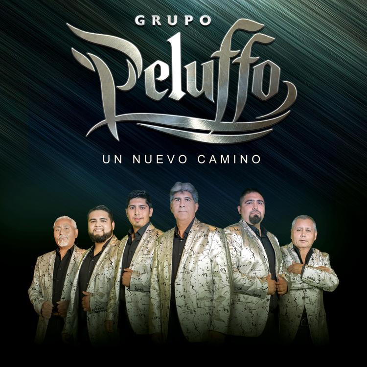 Grupo Peluffo's avatar image