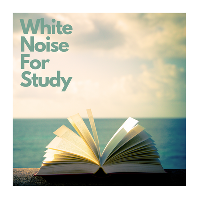Pebble Beach Focus Studying Reading (Loopable no fade)'s cover