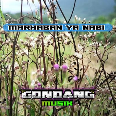 Marhaban Ya Nabi (Remix)'s cover