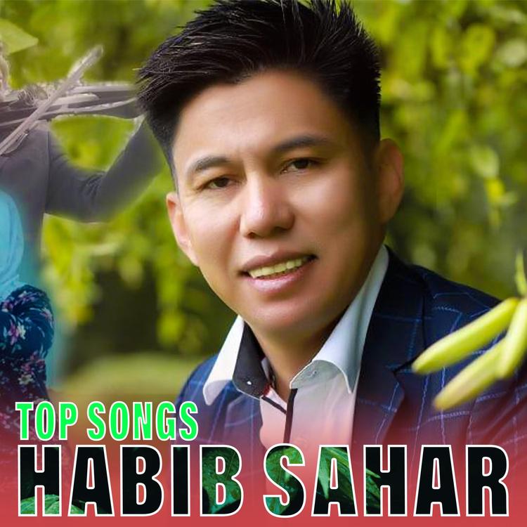 Habib Sahar's avatar image