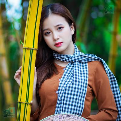 Nhạc Hoa Lời Việt Hay Nhất Hiện Nay's cover