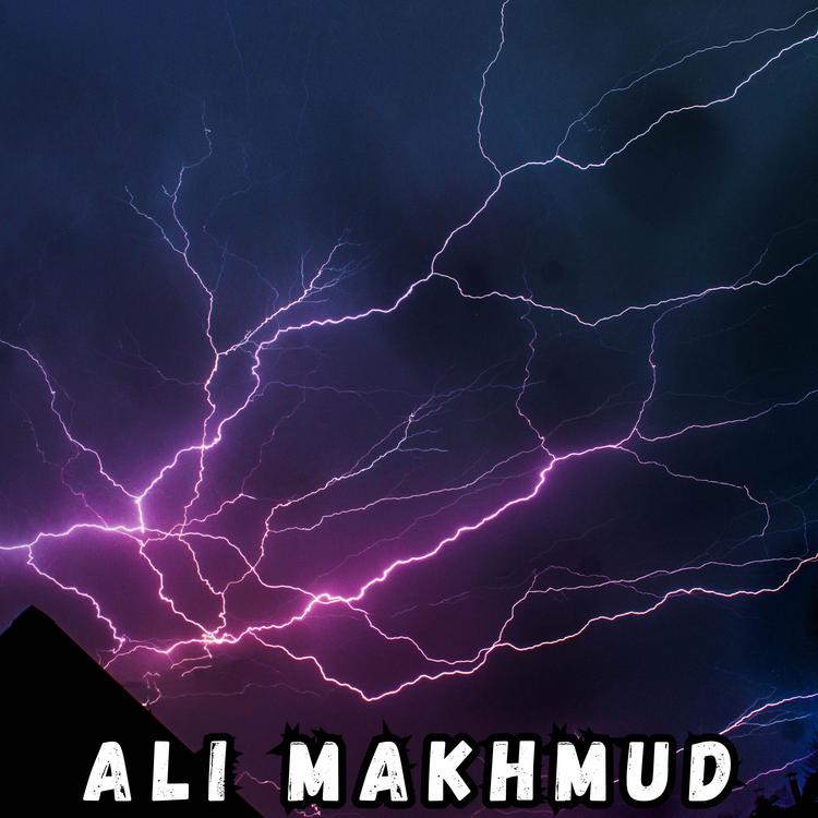 Ali makhmud's avatar image