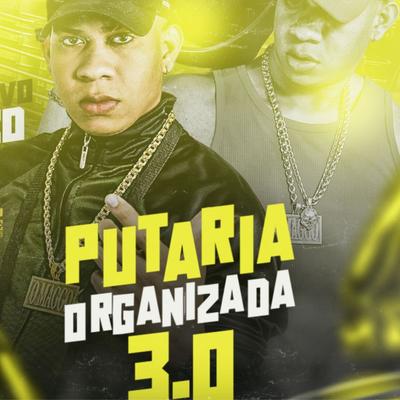 Putaria Organizada 3.0's cover