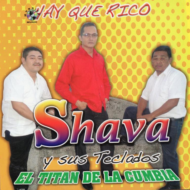 Shava y Sus Teclados's avatar image