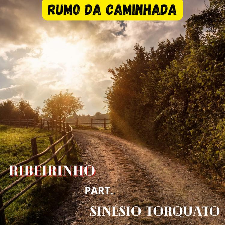 Ribeirinho's avatar image