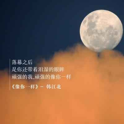 韓江北's cover