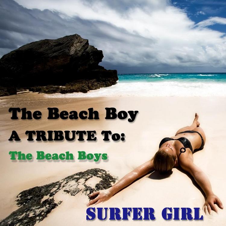 The Beach Boy's avatar image
