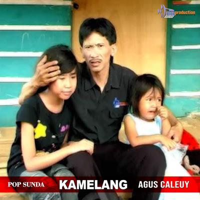 Hariwang (Pop Sunda)'s cover