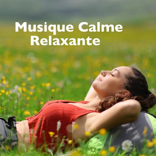Méditation guidée & musique relaxante