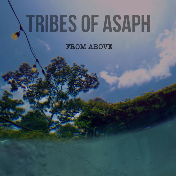 Tribes of Asaph's avatar image