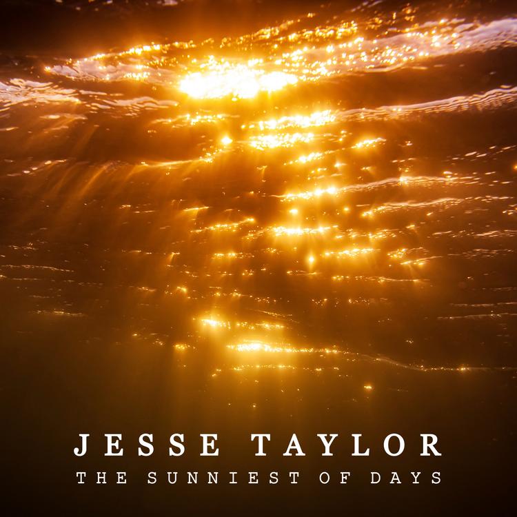 Jesse Taylor's avatar image