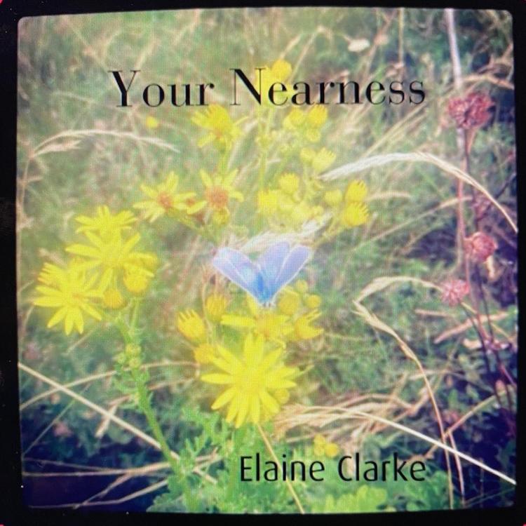 Elaine Clarke's avatar image