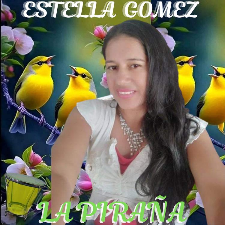 Estella Gomez's avatar image