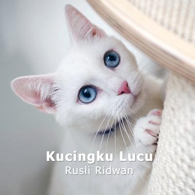 Kucingku Lucu's cover