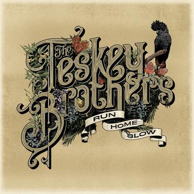 Man of the Universe By The Teskey Brothers's cover