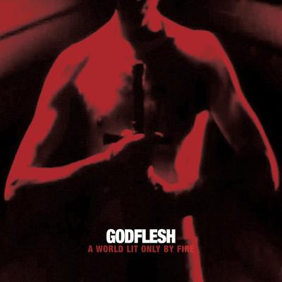 Shut Me Down By Godflesh's cover