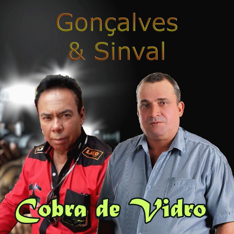 Gonçalves & Sinval's avatar image