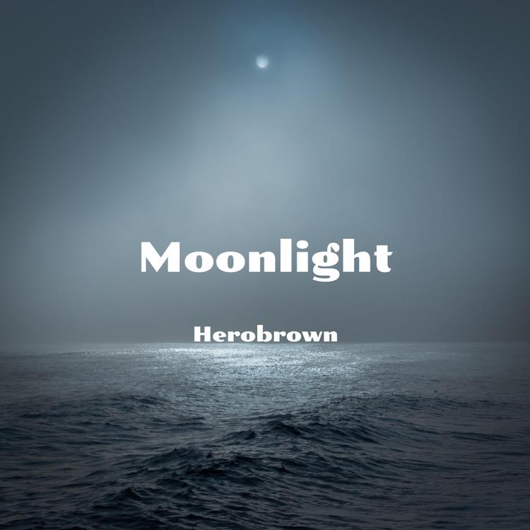 Herobrown's avatar image