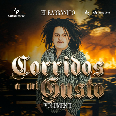 Corridos A Mi Gusto Vol 2's cover