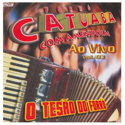 O Tesão do Forró, Vol. 03 (Ao Vivo)'s cover