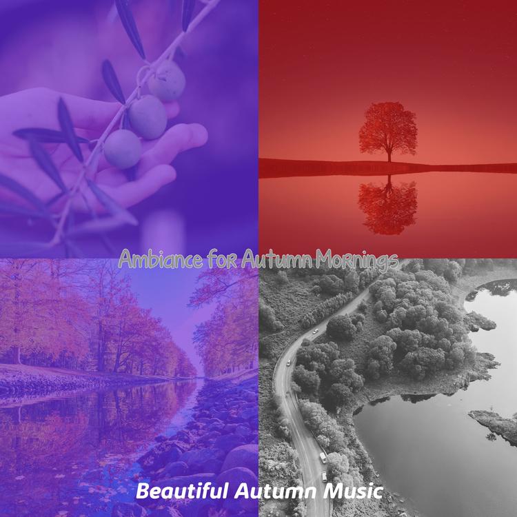 Beautiful Autumn Music's avatar image