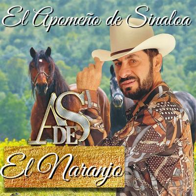 El Apomeño De Sinaloa's cover