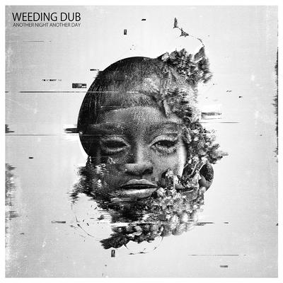 Another Night Another Day By Weeding Dub's cover