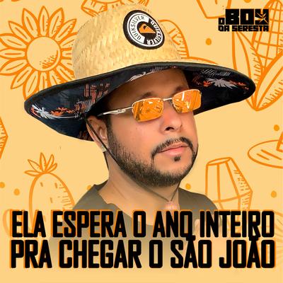 Ela Espera o Ano Inteiro pra Chegar o São João's cover