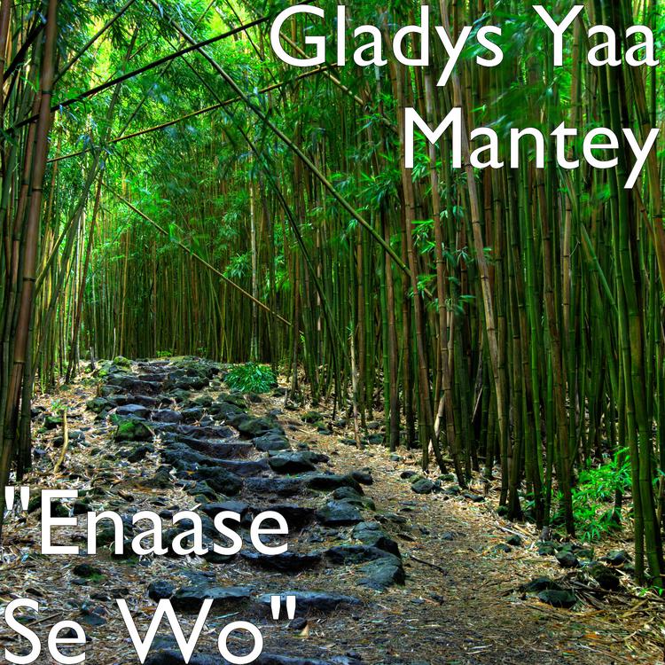 Gladys Yaa Mantey's avatar image