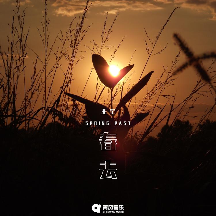 王宇's avatar image