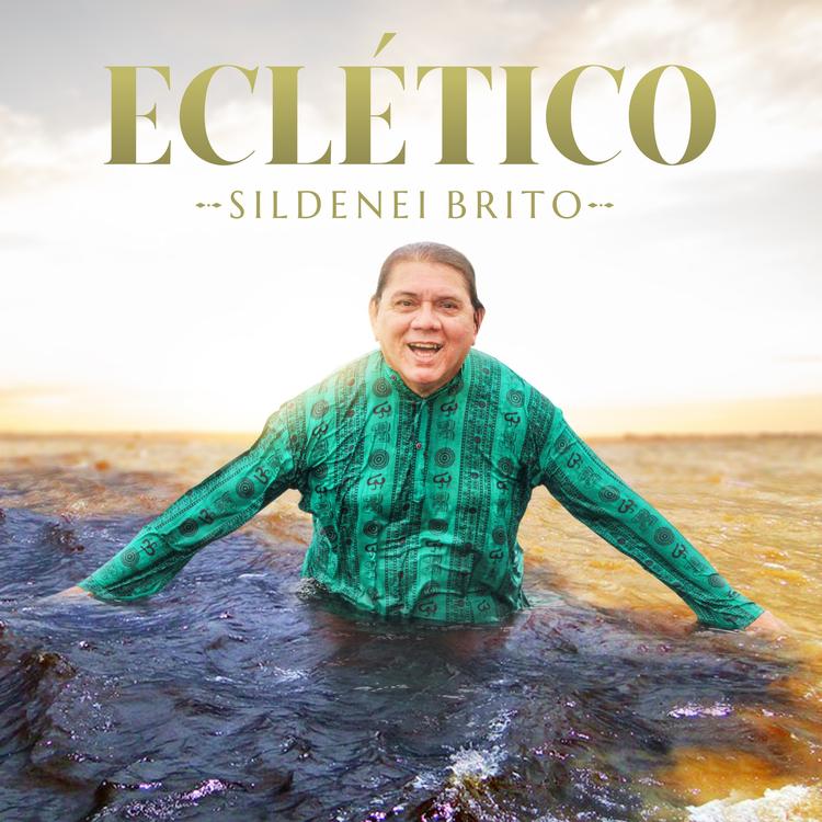 Sildenei Brito's avatar image