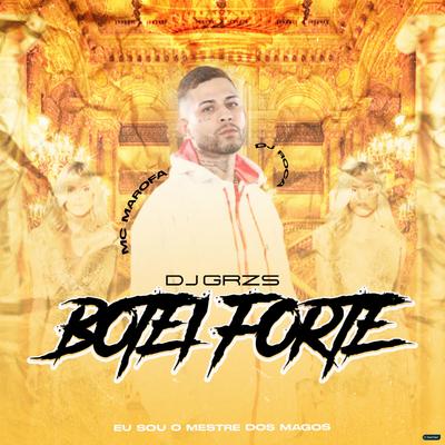 Botei Forte By DJ GRZS, DJ Roca, MC Marofa's cover